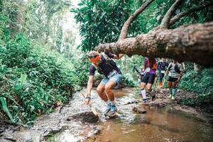 BIB: 
                            <button type="button" onclick="openModal(25375707)" class="btn btn-primary btn-sm float-right btn-popup" data-toggle="modal" data-target=".modal-high-quality">
                        <i class="fas fa-shopping-cart"></i> Add to Cart
                    </button>
                                            <button type="button" onclick="isThisMe(25375707, true)" class="btn btn-success btn-sm float-right btn-popup btn-isme hidden" data-toggle="tooltip" data-placement="bottom" title="นี่คือรูปของคุณใช่ไหม คลิกที่นี่เพื่อเอาเข้าอัลบั้ม">
                        <i class="fas fa-plus"></i> Add to album
                    </button>
                    <button type="button" onclick="isThisMe(25375707, false)" class="btn btn-warning btn-sm float-right btn-popup btn-isnotme hidden">
                        <i class="fas fa-ban"></i> Remove from album
                    </button>